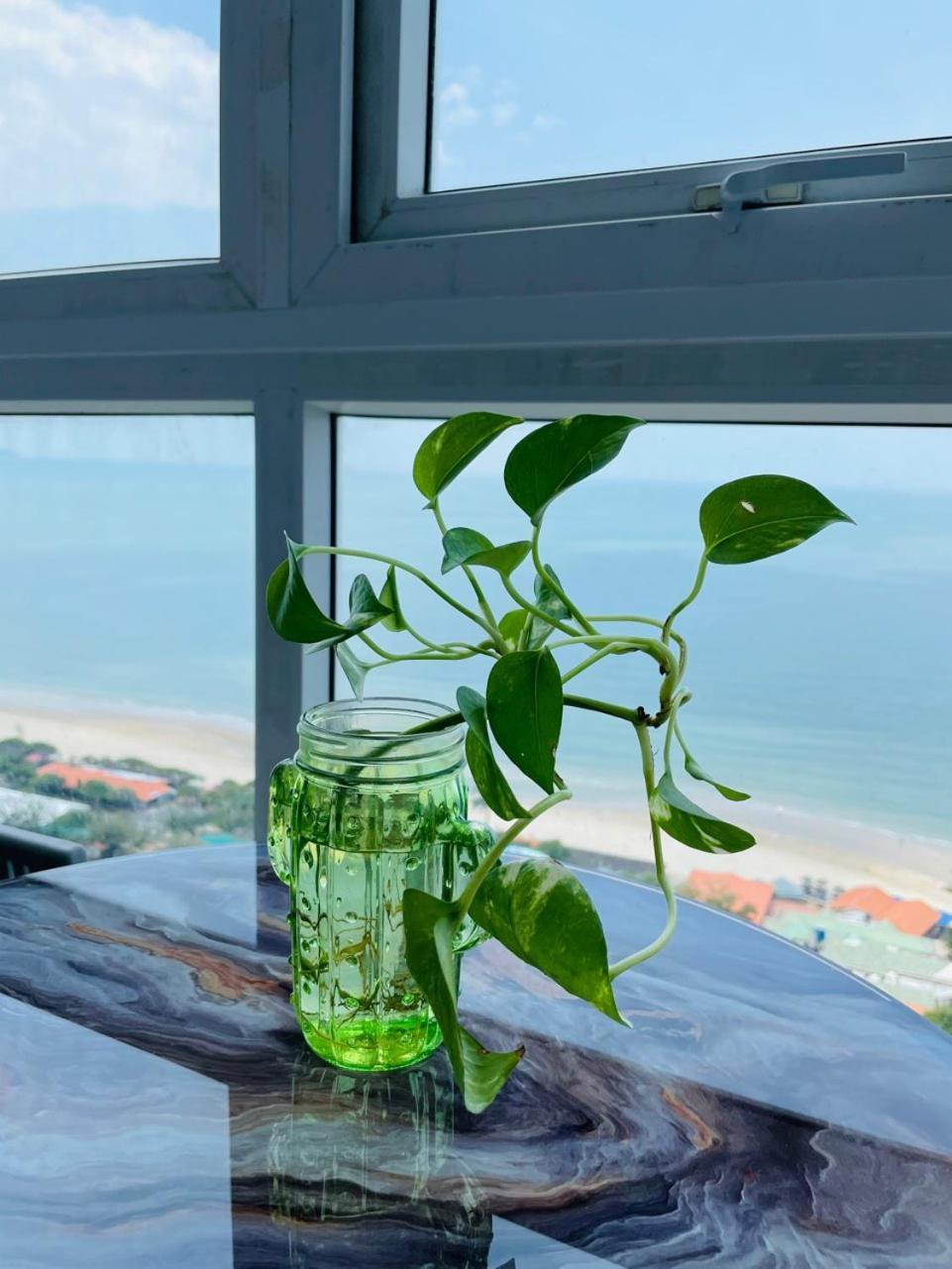 Can Ho Oasky Canh Bien Bai Sau Vung Tau Zewnętrze zdjęcie